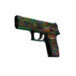 StatTrak™ P250 | Видения