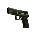 StatTrak™ P250 | Железное покрытие